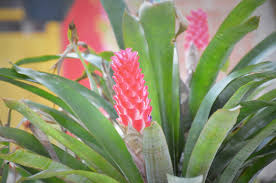 images (1)