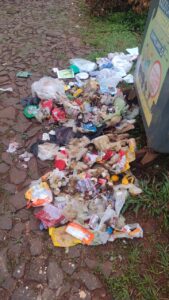 Riesgo para los recolectores: mal uso de los contenedores en el barrio Las Flores whatsapp image 2025 10 03 at 09.41.16