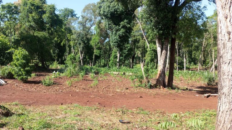 Asamblea histórica del pueblo Mbya Guaraní: la voz de las comunidades en primera persona whatsapp image 2025 10 15 at 10.17.24