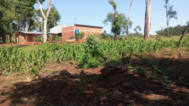 Asamblea histórica del pueblo Mbya Guaraní: la voz de las comunidades en primera persona whatsapp image 2025 10 15 at 10.17.25