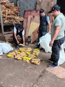 Incineración de estupefacientes en Eldorado whatsapp image 2025 10 16 at 11.43.12