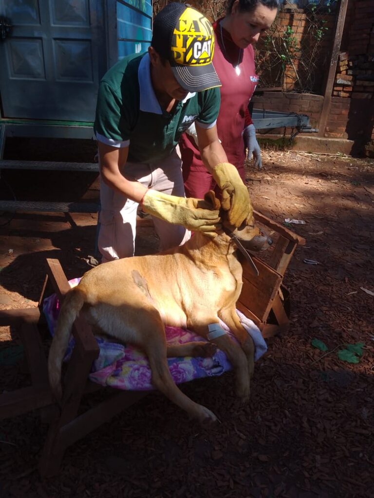 El Pueblo en tus Barrios: agasajos, solidaridad y mejoras comunitarias whatsapp image 2025 10 16 at 17.45.20 (1)