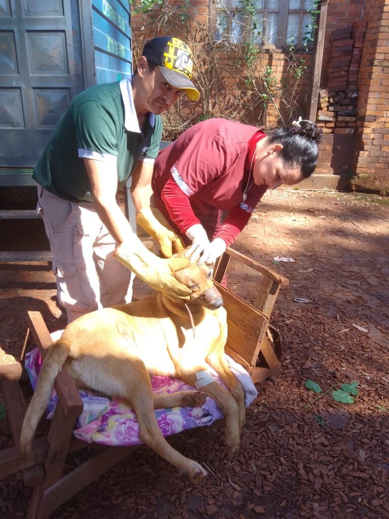 El Pueblo en tus Barrios: agasajos, solidaridad y mejoras comunitarias whatsapp image 2025 10 16 at 17.45.20