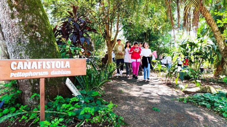 Tejiendo Redes | Municipios unidos por la niñez: la experiencia de Montecarlo en el Programa MUNA whatsapp image 2025 11 11 at 11.37.58 (1)