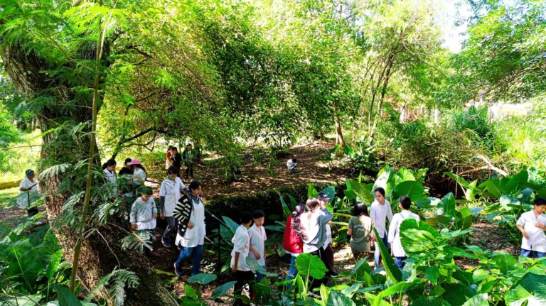 Tejiendo Redes | Municipios unidos por la niñez: la experiencia de Montecarlo en el Programa MUNA whatsapp image 2025 11 11 at 11.37.59