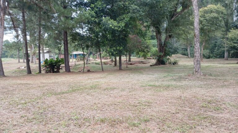 Club Unión celebra 20 años de historia, esfuerzo y crecimiento en Montecarlo whatsapp image 2025 12 05 at 09.17.19