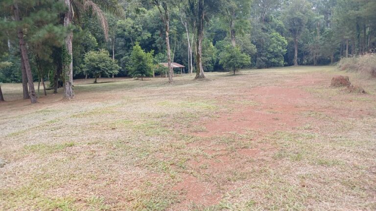 Club Unión celebra 20 años de historia, esfuerzo y crecimiento en Montecarlo whatsapp image 2025 12 05 at 09.17.20