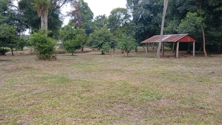 Club Unión celebra 20 años de historia, esfuerzo y crecimiento en Montecarlo whatsapp image 2025 12 05 at 09.17.22