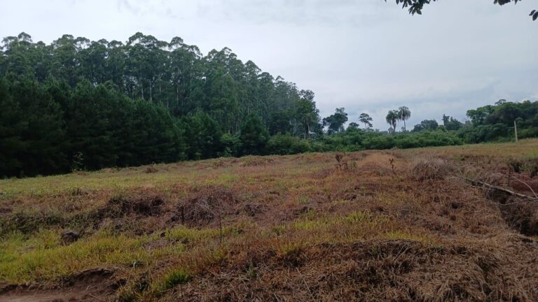 Club Unión celebra 20 años de historia, esfuerzo y crecimiento en Montecarlo whatsapp image 2025 12 05 at 09.17.23