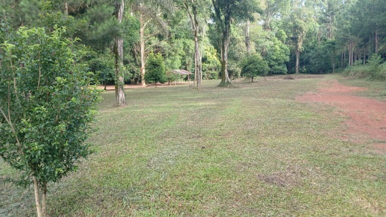 Club Unión celebra 20 años de historia, esfuerzo y crecimiento en Montecarlo whatsapp image 2025 12 05 at 09.17.25