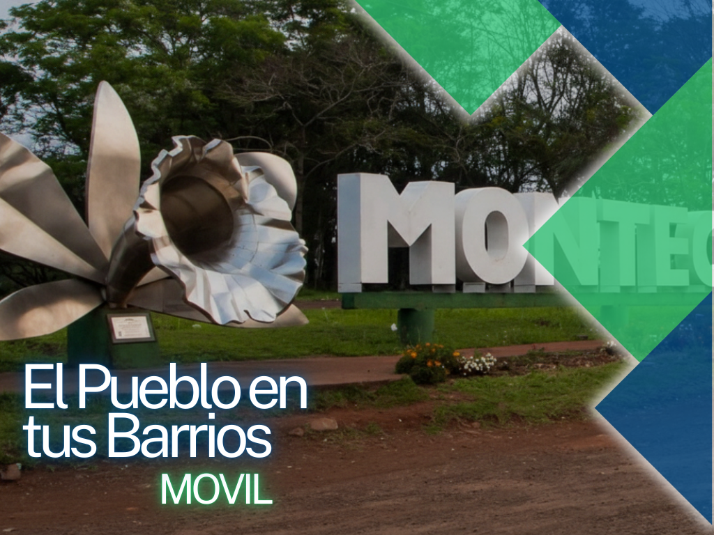 copia de portada 43 (1)