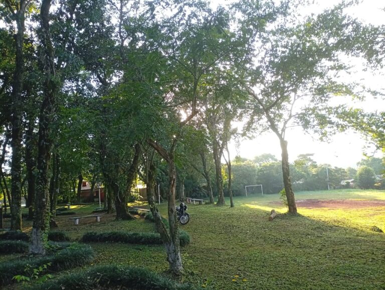 whatsapp image 2026 02 19 at 08.49.02