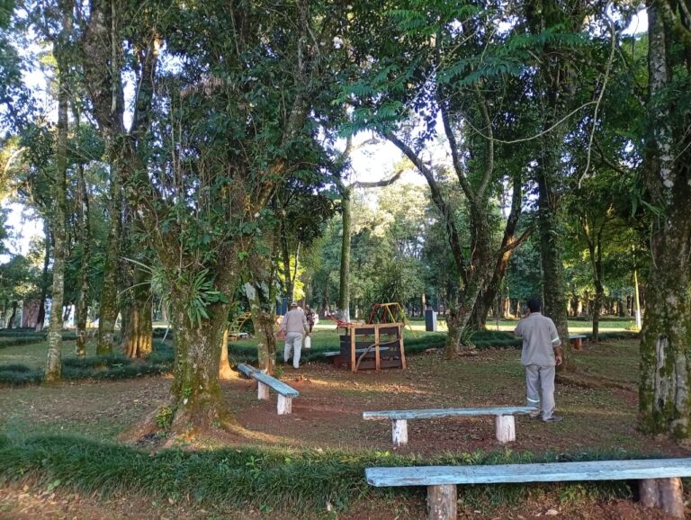 whatsapp image 2026 02 19 at 08.49.03