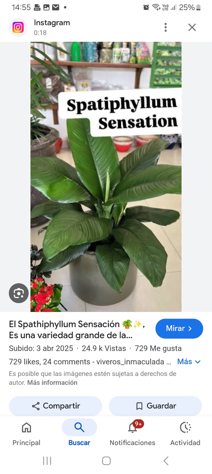 whatsapp image 2026 02 24 at 09.27.31 (1)