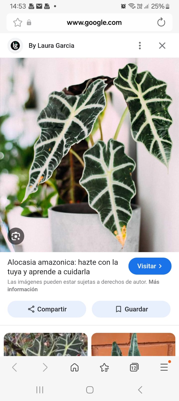 whatsapp image 2026 02 24 at 09.27.31