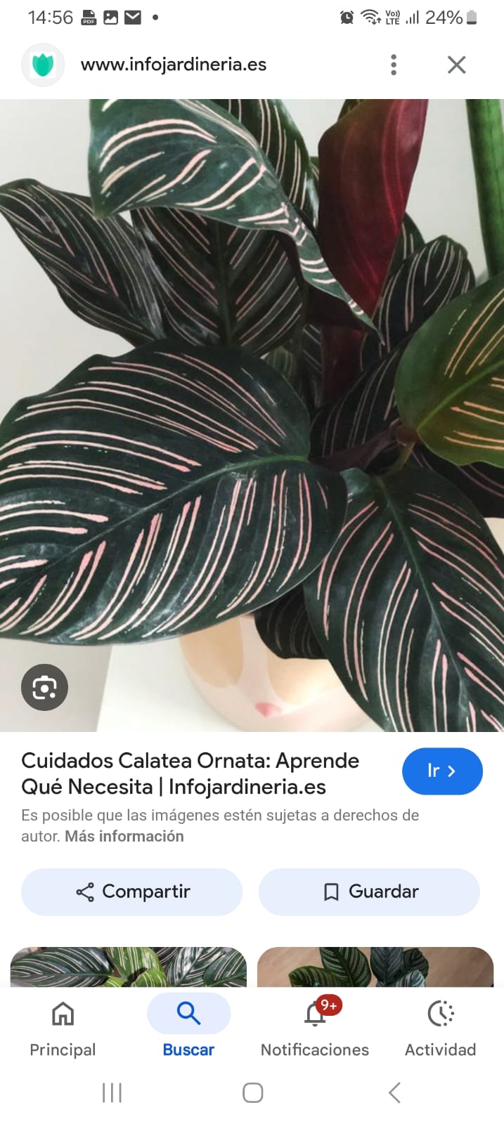 whatsapp image 2026 02 24 at 09.27.32