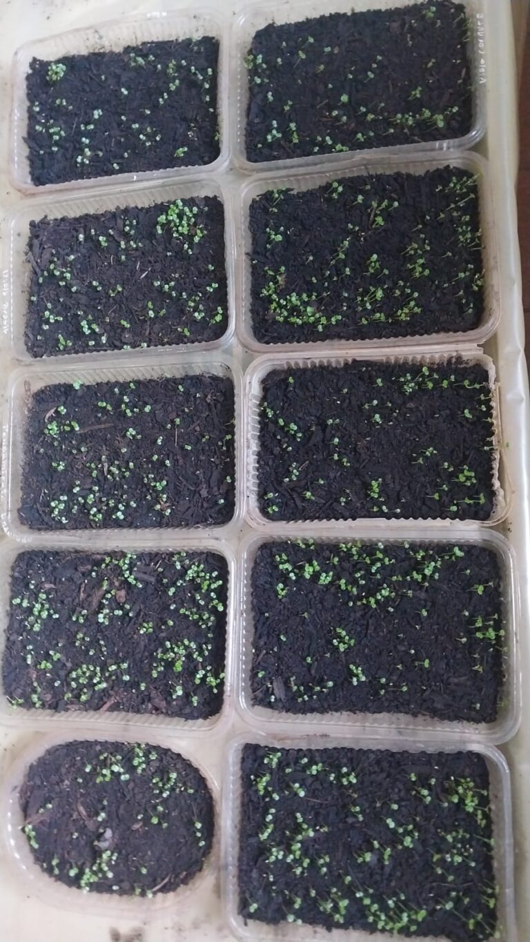 whatsapp image 2026 02 24 at 09.29.05