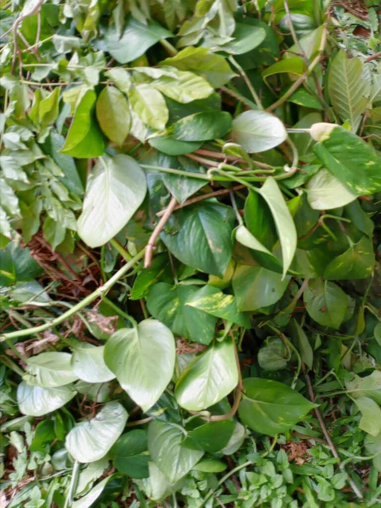 whatsapp image 2026 02 24 at 09.33.18