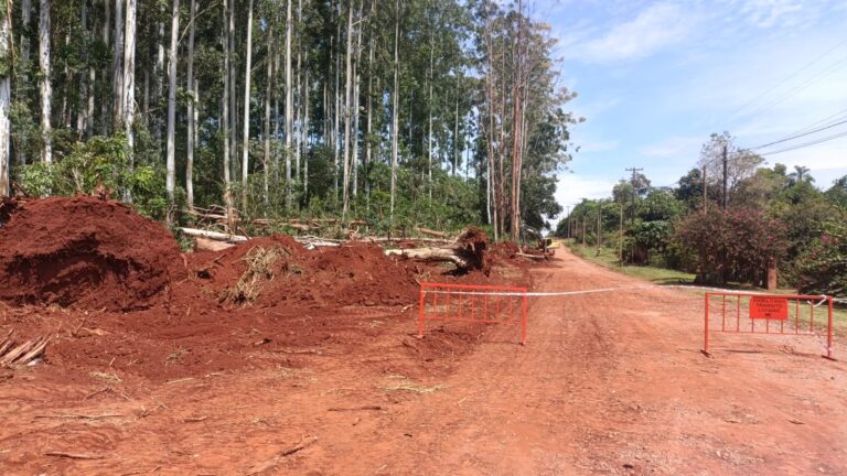 whatsapp image 2026 03 09 at 10.08.34 (1)