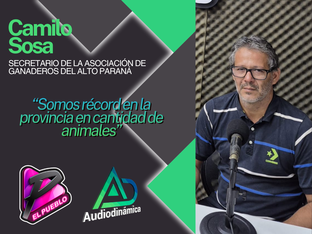 portada 43 (8)