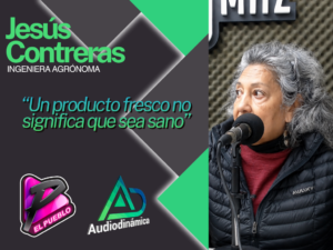portada 43 (14)