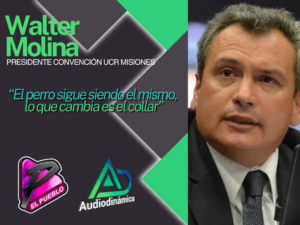 portada 43 (16)