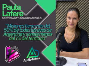 portada 43 (4)