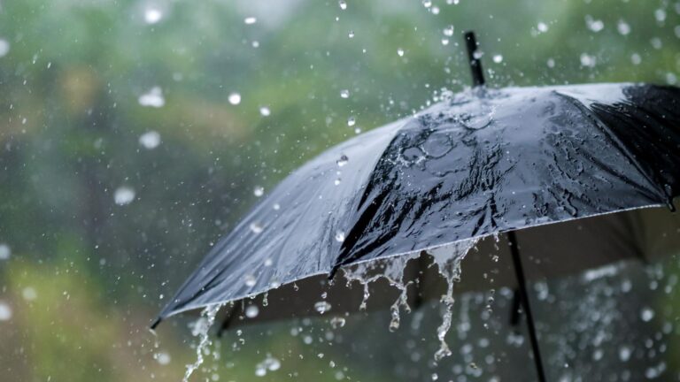 Informe de pronóstico: Misiones tendrá una semana con inestabilidad, lluvias y tormentas aisladas