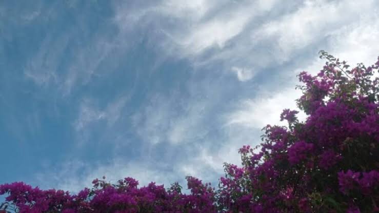Lunes fresco y estable en Misiones: anticipan un marcado ascenso de las temperaturas hacia el miércoles