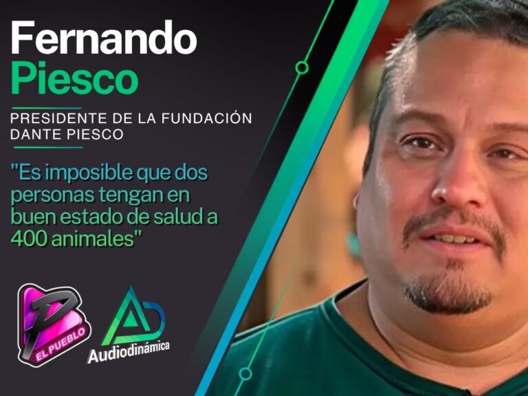 «Es imposible que dos personas tengan en buen estado de salud a 400 animales»