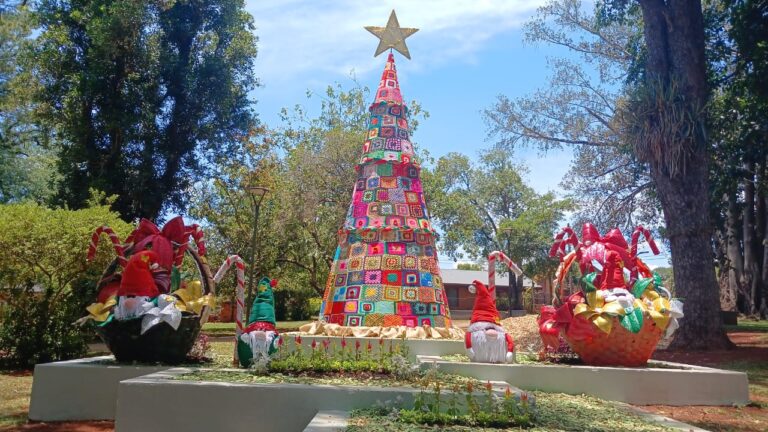 “Todo ayuda”: convocan a colaborar con lana para el nuevo árbol navideño a crochet de Montecarlo