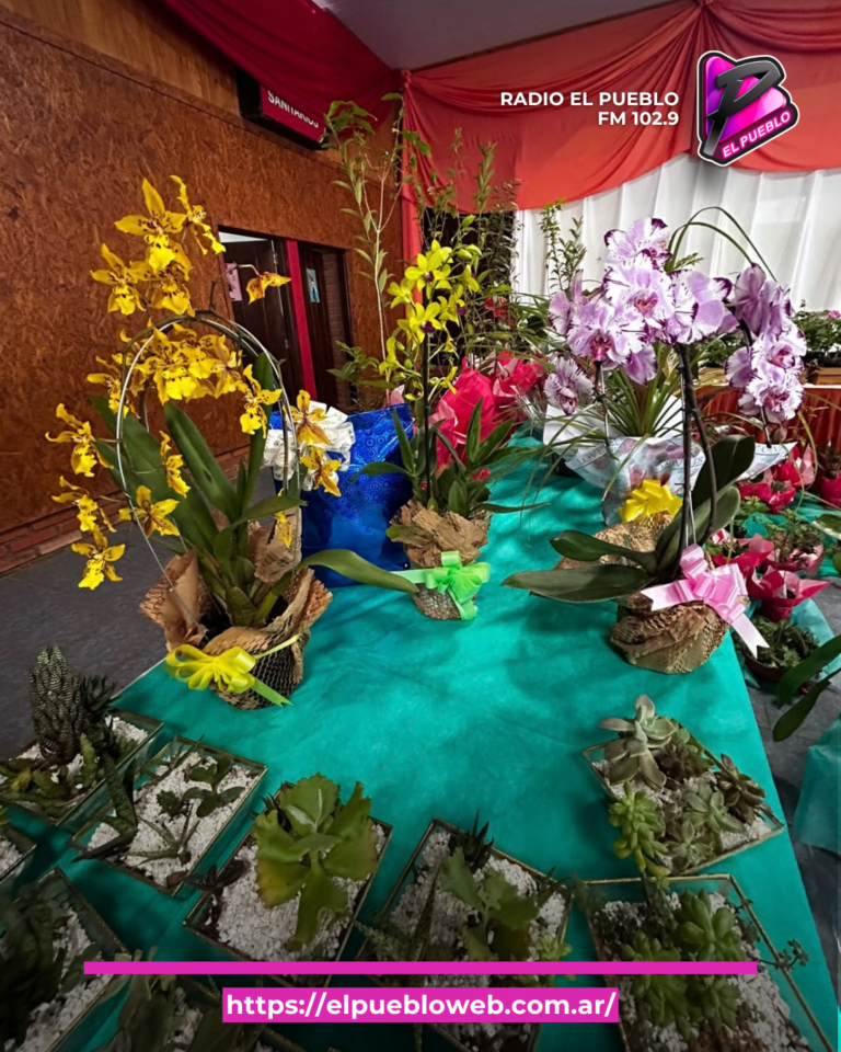 A días de la Fiesta Nacional de la Orquídea y Provincial de la Flor: Montecarlo reconoció a sus mejores parques, jardines y orquídeas